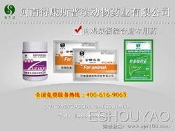 深耕禽藥市場，把握代理機(jī)遇 從鴨藥到品牌的全方位指南