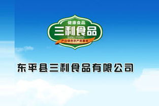 東平湖牌特制紅薯粉條袋裝 加盟批發(fā)優(yōu)勢與廣告設(shè)計(jì)策略