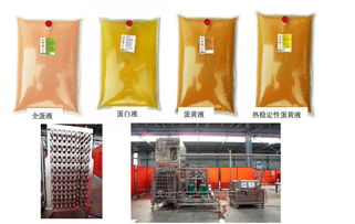 烏克蘭蛋雞產(chǎn)業(yè) 全球前十的養(yǎng)殖特點與家禽概況