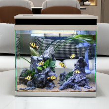 觀賞魚缸水族箱 打造靈動水景的入門指南