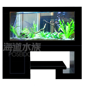 批發供應玻璃魚缸、生態魚缸及新式簡約花架柜式魚缸——保定海道水族科技